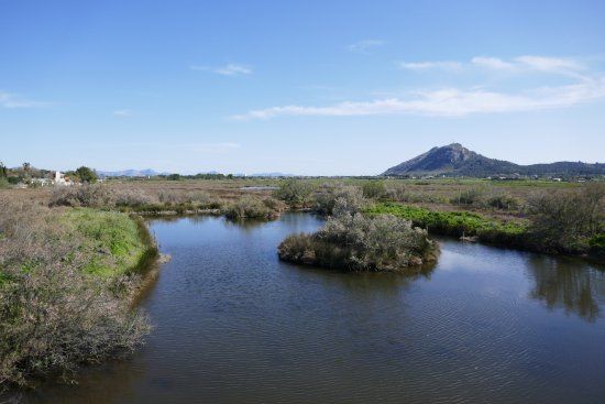S'Albufereta Natural Reserve